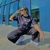 Flow Motion Pants Negro - comprar en línea