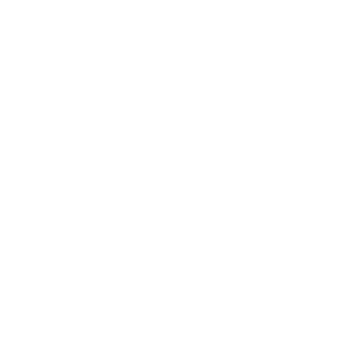 Aldanza Dance Wear
