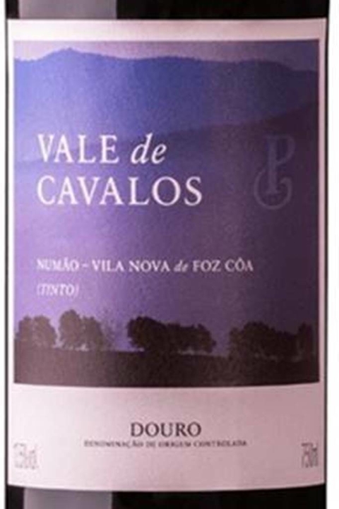 Vinho Português Tinto Poças Júnior Vale De Cavalos 750ml - comprar online
