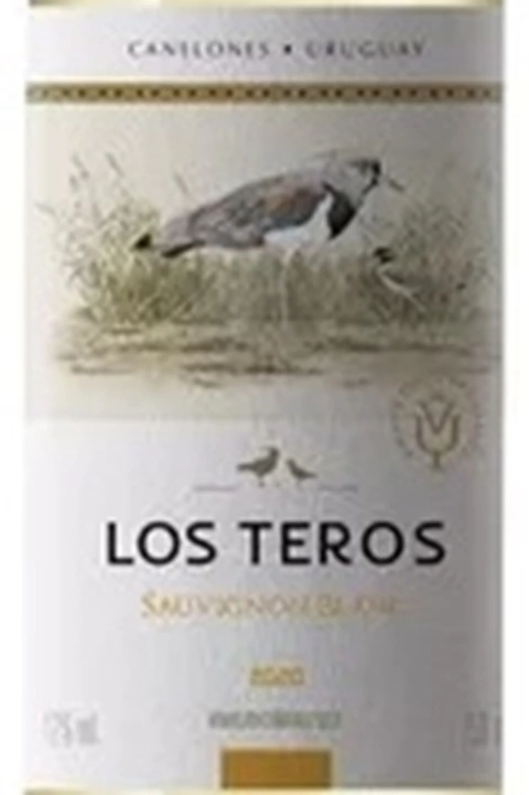 Vinho Uruguaio Branco Los Teros Sauvignon Blanc 750ml na internet