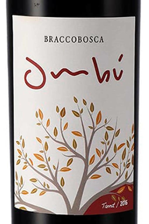 Vinho Uruguaio Tinto Braccobosca Ombu Tannat 750ml - comprar online