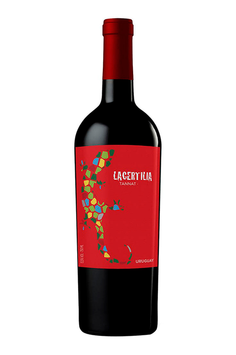 Vinho Uruguaio Tinto Braccobosca Lacertilia Tannat 750ml