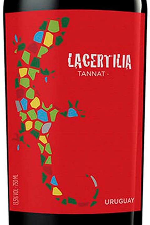 Vinho Uruguaio Tinto Braccobosca Lacertilia Tannat 750ml - EMPÓRIO ITIÊ