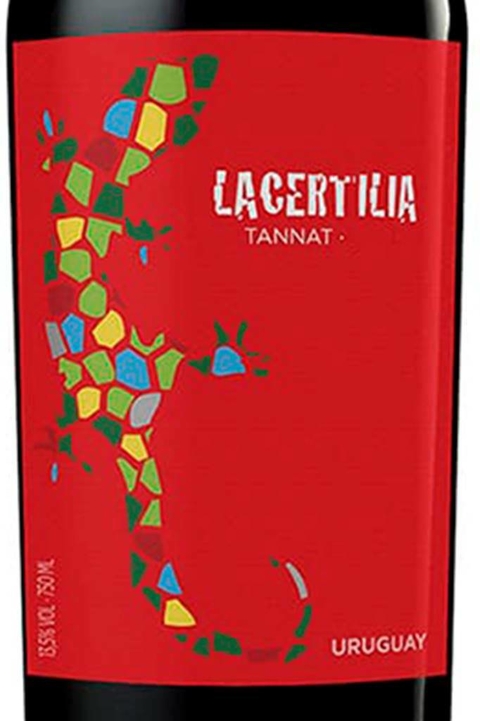 Vinho Uruguaio Tinto Braccobosca Lacertilia Tannat 750ml - comprar online
