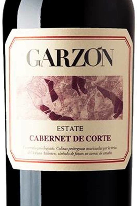 Vinho Uruguaio Tinto Garzón Estate Cabernet Sauvignon de Corte 750ml - comprar online
