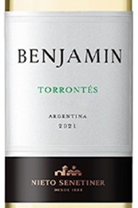 Vinho Argentino Branco Benjamin Nieto Torrontés 750ml na internet