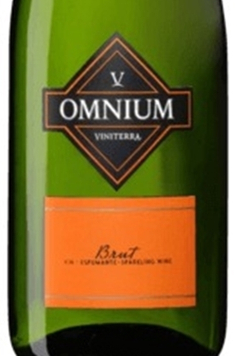 Vinho Argentino Branco Omnium Espumante Brut 750ml - comprar online