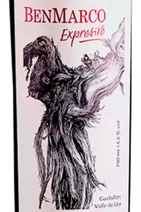 Vinho Argentino Tinto Benmarco Expressivo 750ml - comprar online
