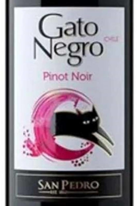 Vinho Chileno Tinto Gato Negro Pinot Noir 750ml - comprar online