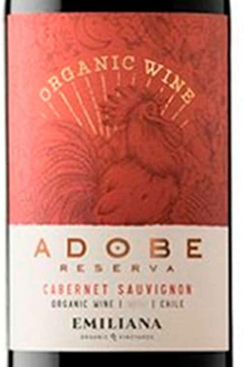 Vinho Chileno Tinto Adobe Cabernet Savignon 750ml - comprar online