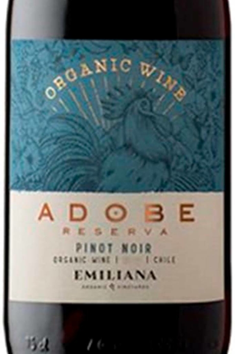 Vinho Chileno Tinto Adobe Pinot Noir Organico Reserva 750ml - comprar online