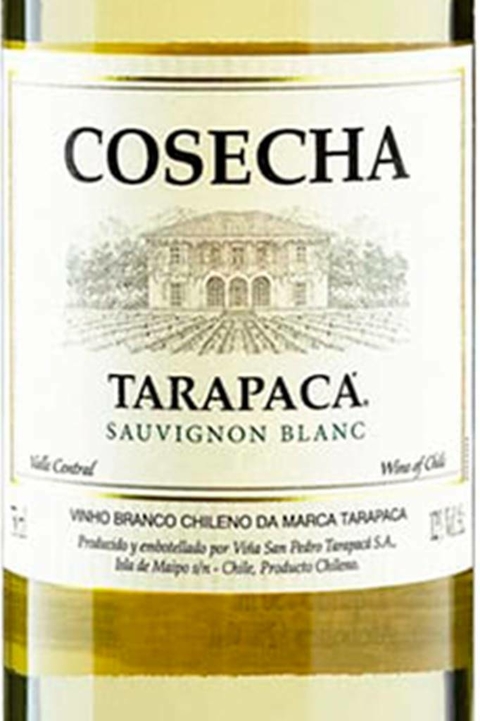 Vinho Chileno Branco Tarapaca Cosecha Sauvignon Blanc 750ml - comprar online