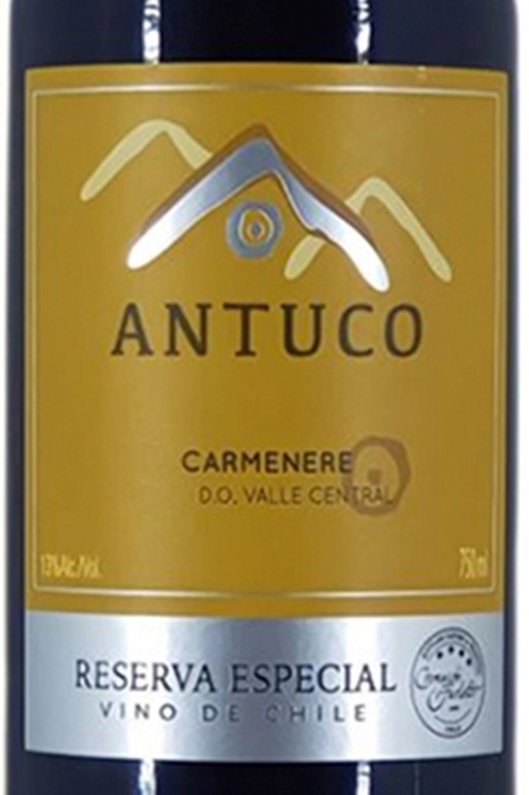 Vinho Chileno Tinto Antuco Carmenere Reserva 750ml - comprar online