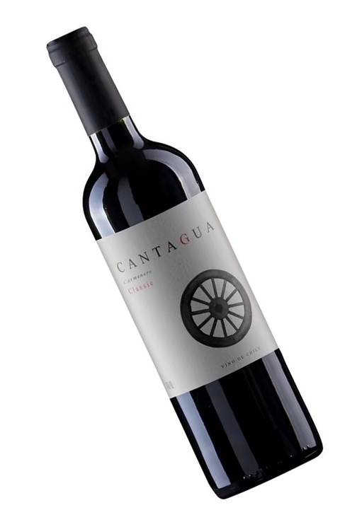 Vinho Chileno Tinto Cantagua Classic Carménère 750ml na internet