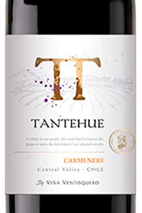 Vinho Chileno Tinto Tantehue Carmenere 750ml - comprar online