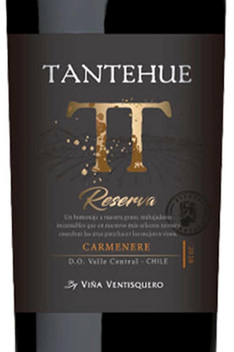 Vinho Chileno Tinto Tantehue Carmenere Reserva 750ml - comprar online