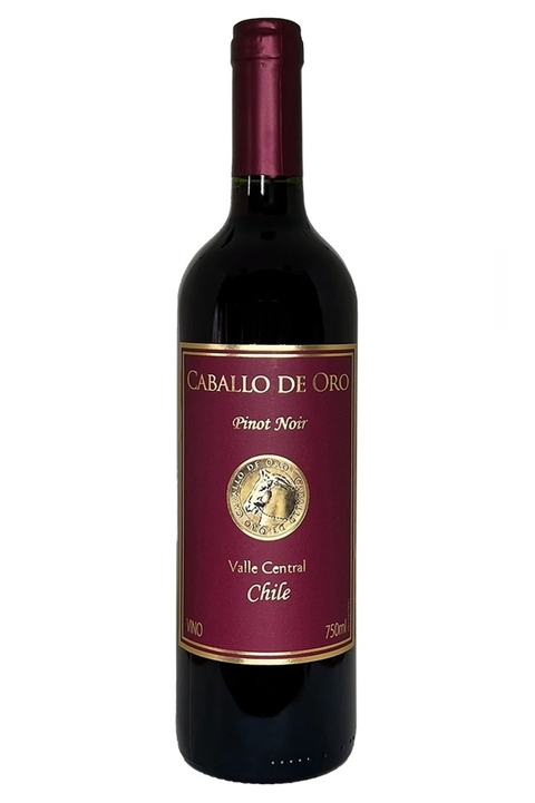 Vinho Chileno Tinto Caballo De Oro Pinot Noir 750ml - comprar online