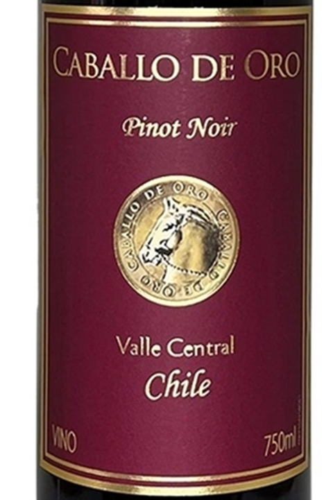 Vinho Chileno Tinto Caballo De Oro Pinot Noir 750ml na internet