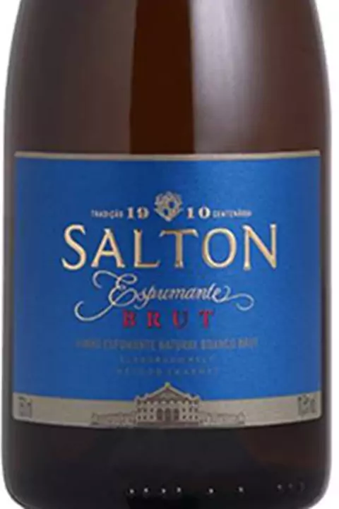 Vinho Nacional Branco Kit 6 Espumante Salton Brut 750ml - comprar online