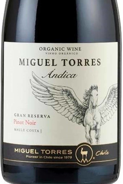 Vinho Chileno Tinto Andica Pinot Noir 750ml - comprar online