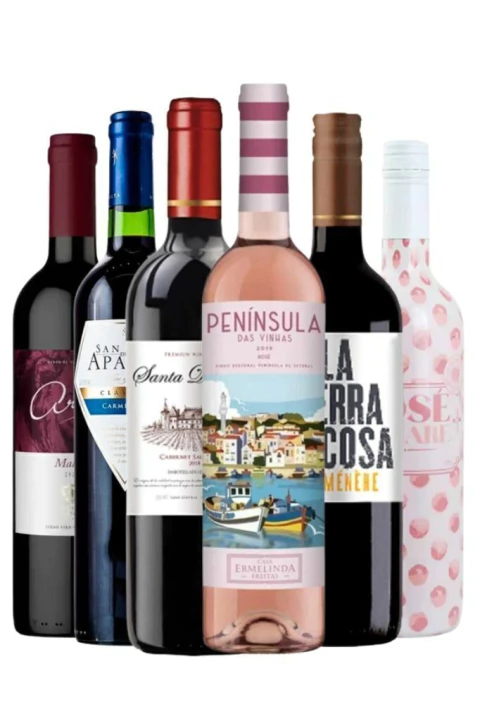 Vinho Kit Sommelier Sensação Grandes Nomes - comprar online