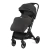 Tayra travel system en internet