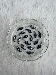 Comedouro black