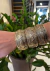 Bracelete dourado envelhecido - comprar online