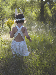 Orejas de liebre. - comprar online