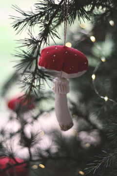 Hongo Amanita
