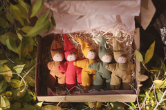 Caja duendes de mijo x 5 - comprar online