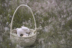 Canasta de pascua - comprar online