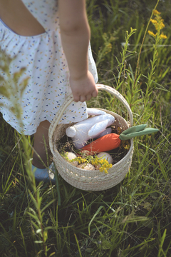 Canasta de pascua - comprar online