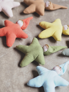 Niños estrella en internet