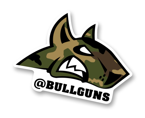 Bullguns