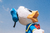 Imagem do Pelúcia Pato Donald Baby
