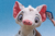 Pelúcia Pua Moana - Disney - loja online