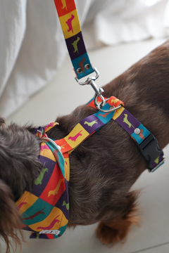 Pretales. en internet