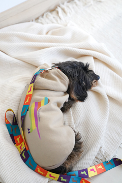 Imagen de Buzo Multicolor.