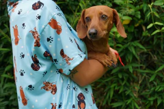 Salchipijama camisa/short celeste. - tienda online