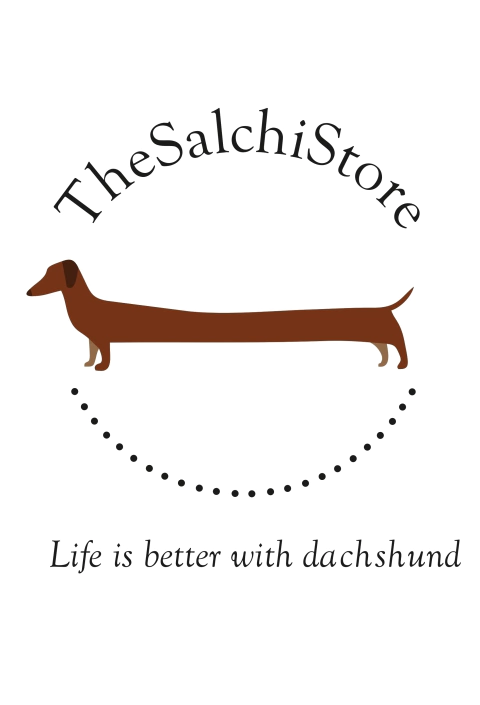 The salchi store