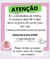 Imagem do Echidnopsis repens com 3 hastes ou mais