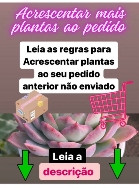 Acrescentar MAIS PLANTAS ao meu pedido anterior não enviado.