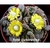 Titanopsis Calcarea Vaso tamanho 9 forma colonia - comprar online