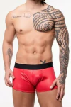 Boxer Cirrê