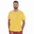 Camiseta Masculina Manga Curta Malha Gola Careca Lisa - 3480