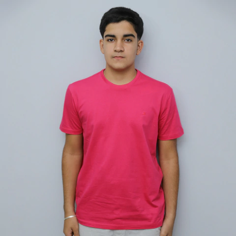 Camiseta Masculina Manga Curta Malha Gola Careca - 6869