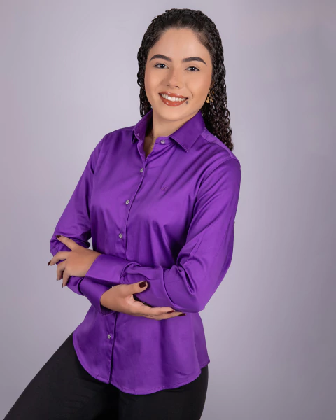 Camisete Feminina Manga Longa Acetinada Lisa - 0151 - comprar online