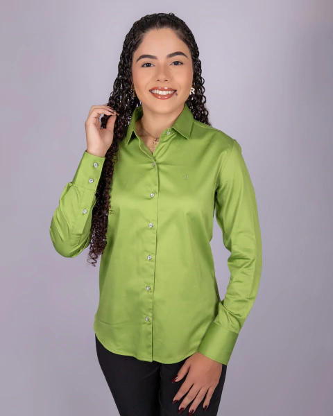 Camisete Feminina Manga Longa Acetinada Lisa - 0151 - comprar online