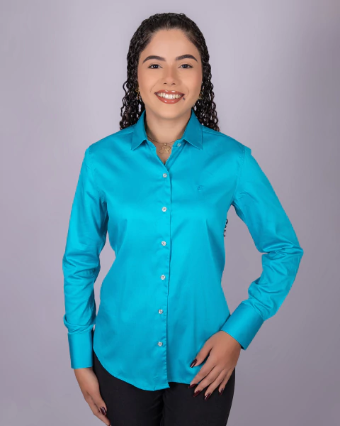 Camisete Feminina Manga Longa Acetinada Lisa - 0151 - comprar online